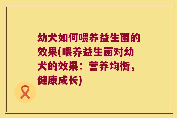 幼犬如何喂养益生菌的效果(喂养益生菌对幼犬的效果：营养均衡，健康成长)