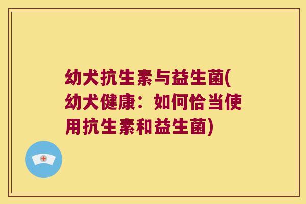 幼犬抗生素与益生菌(幼犬健康：如何恰当使用抗生素和益生菌)
