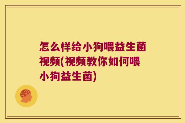 怎么样给小狗喂益生菌视频(视频教你如何喂小狗益生菌)