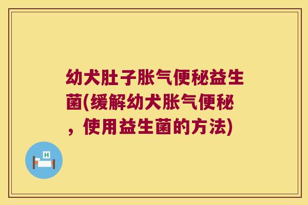 幼犬肚子益生菌(缓解幼犬,使用益生菌的方法) 幼犬肚子益生菌(缓解幼犬,使用益生菌的方法)