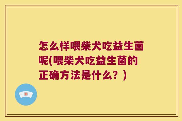 怎么样喂柴犬吃益生菌呢(喂柴犬吃益生菌的正确方法是什么？)