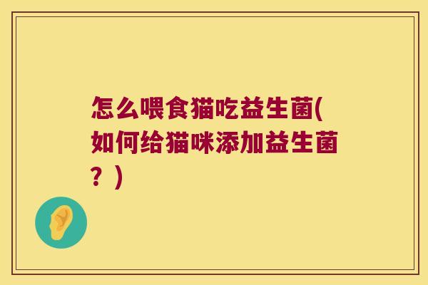 怎么喂食猫吃益生菌(如何给猫咪添加益生菌？)