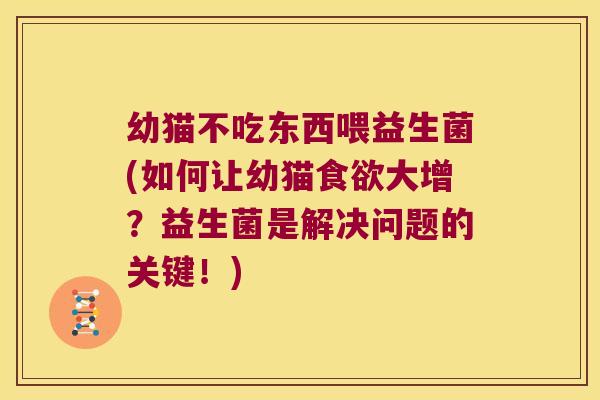 幼猫不吃东西喂益生菌(如何让幼猫食欲大增？益生菌是解决问题的关键！)