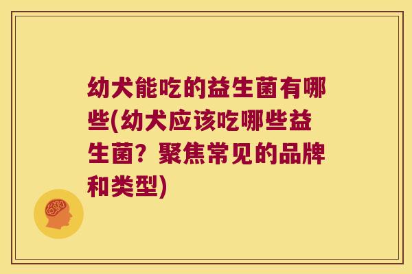 幼犬能吃的益生菌有哪些(幼犬应该吃哪些益生菌?聚焦常见的品牌和类型) 幼犬能吃的益生菌有哪些(幼犬应该吃哪些益生菌?聚焦常见的品牌和类型)