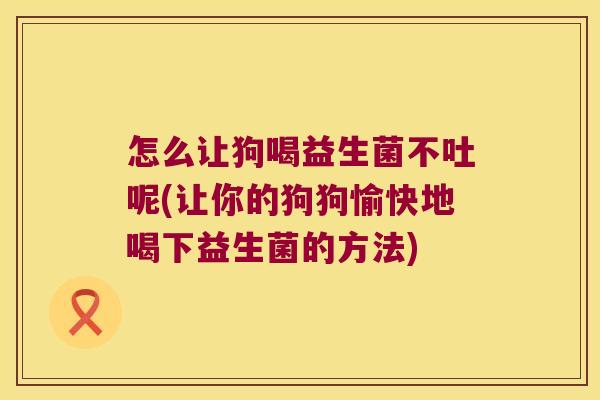 怎么让狗喝益生菌不吐呢(让你的狗狗愉快地喝下益生菌的方法)