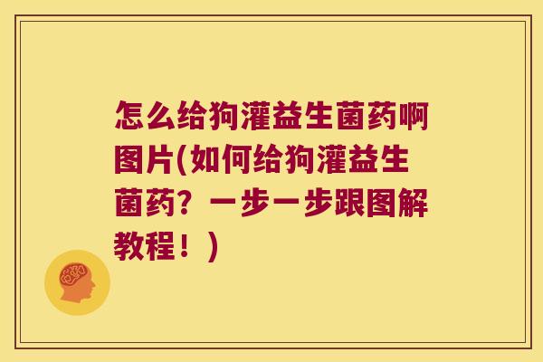 怎么给狗灌益生菌药啊图片(如何给狗灌益生菌药?一步一步跟图解教程!) 怎么给狗灌益生菌药啊图片(如何给狗灌益生菌药?一步一步跟图解教程!)