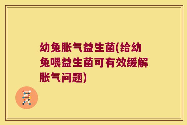 幼兔胀气益生菌(给幼兔喂益生菌可有效缓解胀气问题)