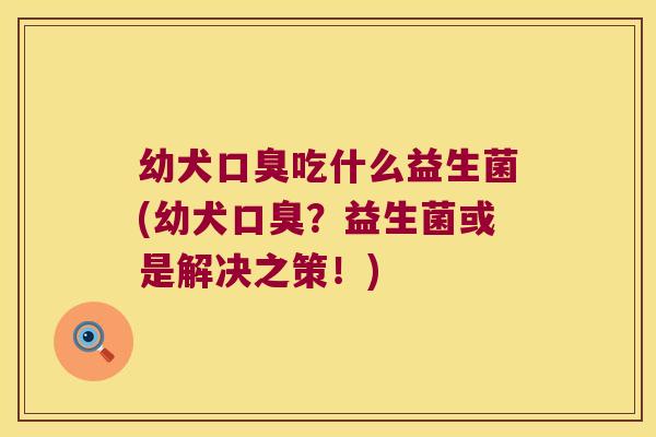 幼犬口臭吃什么益生菌(幼犬口臭？益生菌或是解决之策！)
