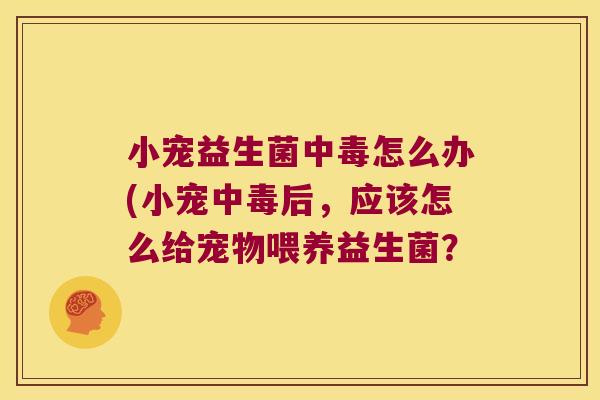 小宠益生菌中毒怎么办(小宠中毒后，应该怎么给宠物喂养益生菌？