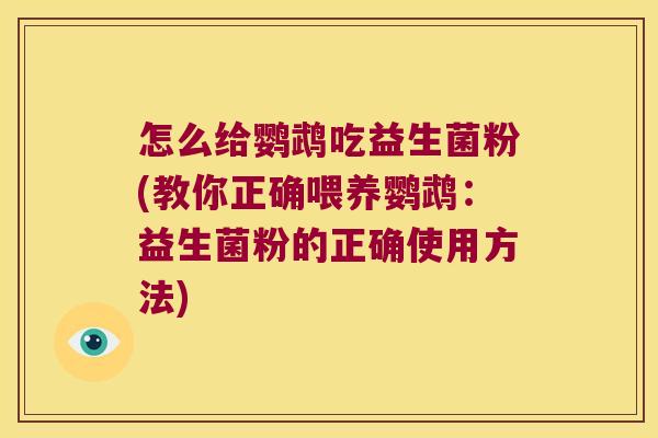 怎么给鹦鹉吃益生菌粉(教你正确喂养鹦鹉：益生菌粉的正确使用方法)