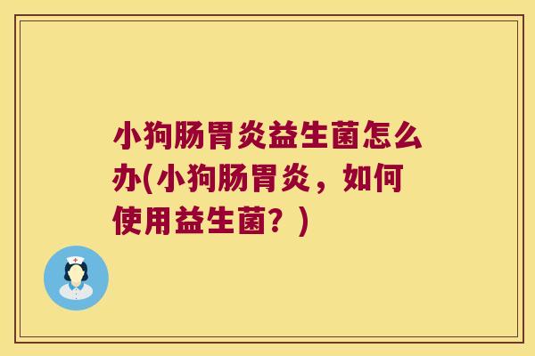 小狗肠胃炎益生菌怎么办(小狗肠胃炎，如何使用益生菌？)