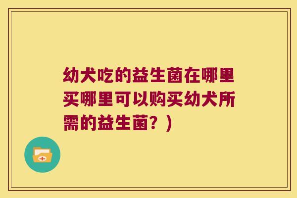 幼犬吃的益生菌在哪里买哪里可以购买幼犬所需的益生菌？)