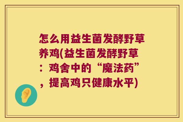怎么用益生菌发酵野草养鸡(益生菌发酵野草：鸡舍中的“魔法药”，提高鸡只健康水平)