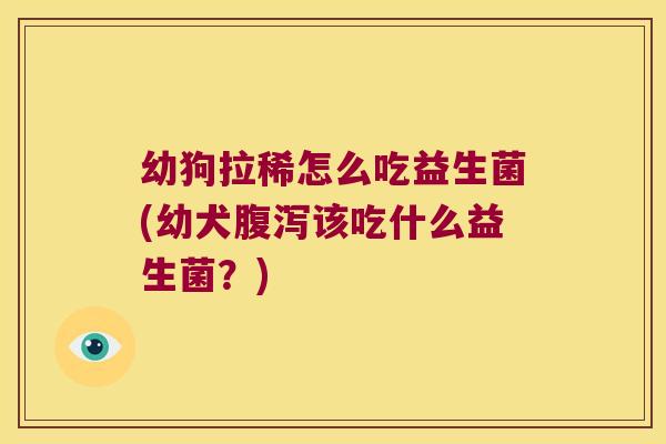 幼狗拉稀怎么吃益生菌(幼犬该吃什么益生菌?) 幼狗拉稀怎么吃益生菌(幼犬该吃什么益生菌?)