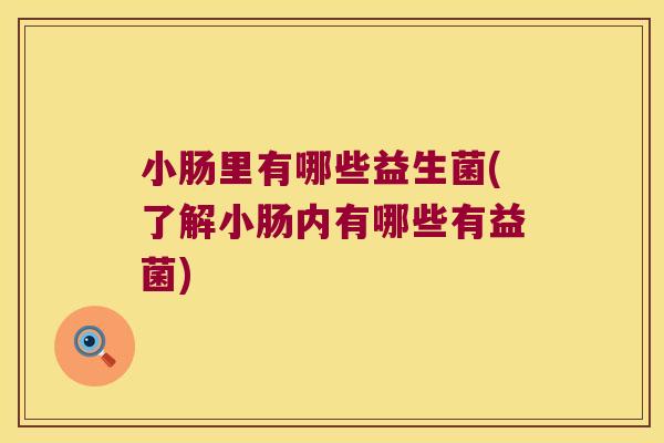小肠里有哪些益生菌(了解小肠内有哪些有益菌)