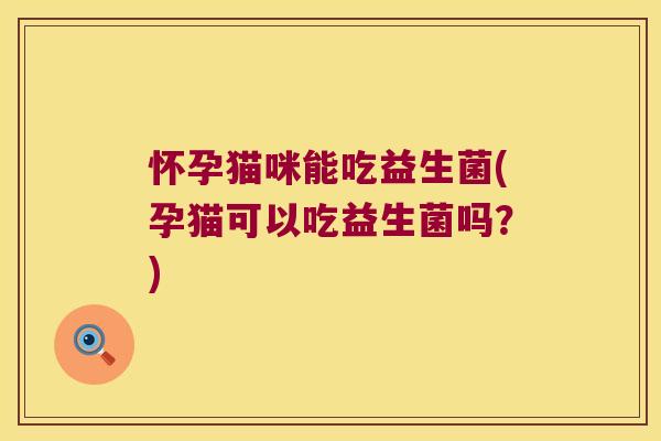 怀孕猫咪能吃益生菌(孕猫可以吃益生菌吗？)