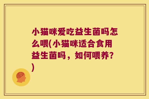 小猫咪爱吃益生菌吗怎么喂(小猫咪适合食用益生菌吗，如何喂养？)