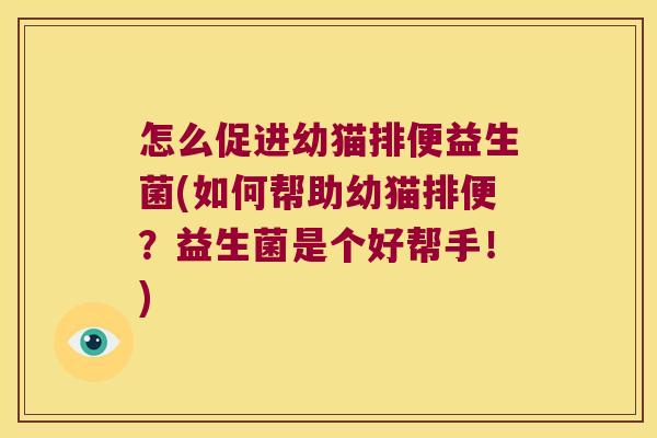 怎么促进幼猫排便益生菌(如何帮助幼猫排便？益生菌是个好帮手！)