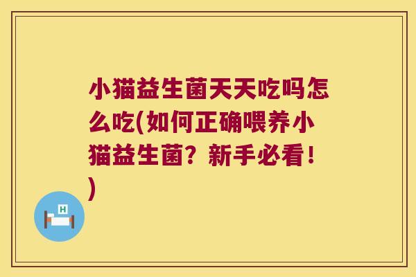 小猫益生菌天天吃吗怎么吃(如何正确喂养小猫益生菌？新手必看！)