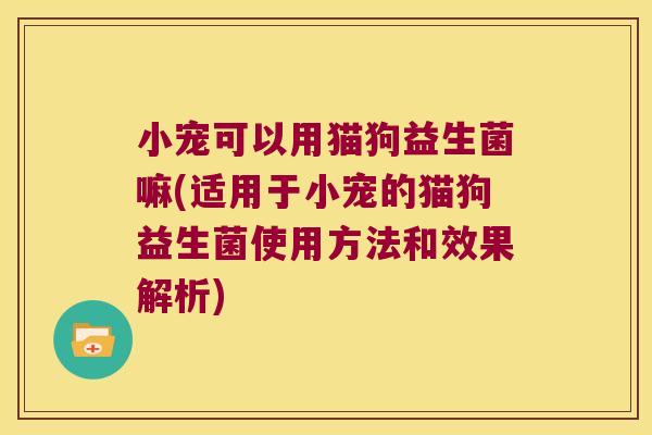 小宠可以用猫狗益生菌嘛(适用于小宠的猫狗益生菌使用方法和效果解析)