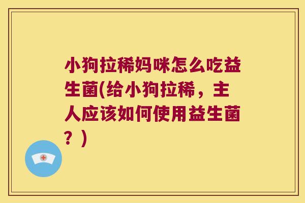 小狗拉稀妈咪怎么吃益生菌(给小狗拉稀，主人应该如何使用益生菌？)
