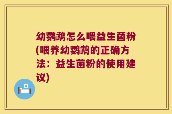 幼鹦鹉怎么喂益生菌粉(喂养幼鹦鹉的正确方法：益生菌粉的使用建议)