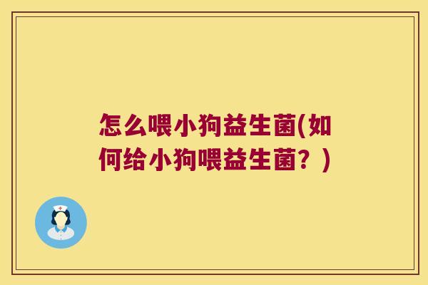怎么喂小狗益生菌(如何给小狗喂益生菌？)
