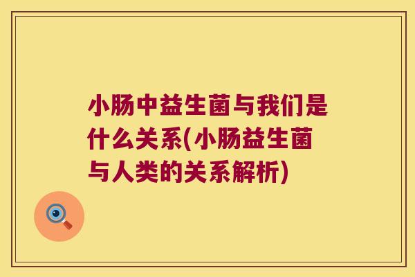 小肠中益生菌与我们是什么关系(小肠益生菌与人类的关系解析)