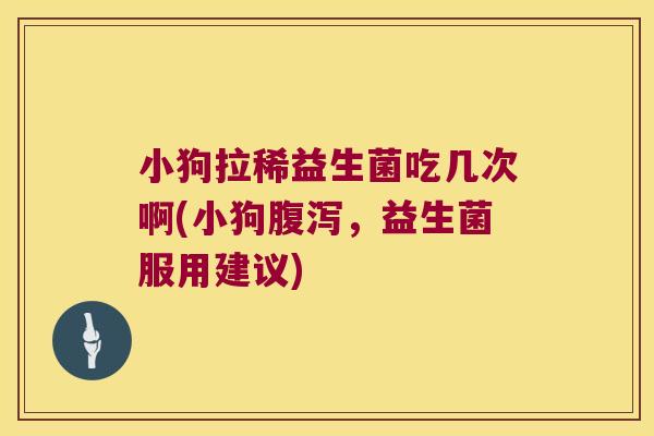 小狗拉稀益生菌吃几次啊(小狗腹泻，益生菌服用建议)