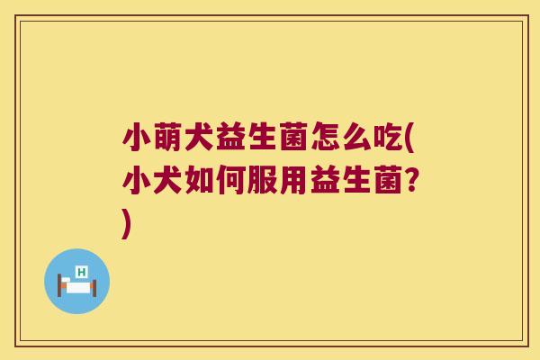 小萌犬益生菌怎么吃(小犬如何服用益生菌？)