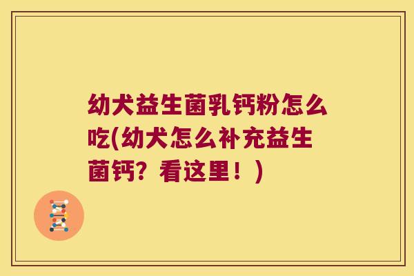 幼犬益生菌乳钙粉怎么吃(幼犬怎么补充益生菌钙？看这里！)