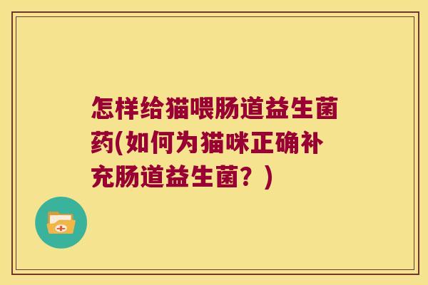 怎样给猫喂肠道益生菌药(如何为猫咪正确补充肠道益生菌？)