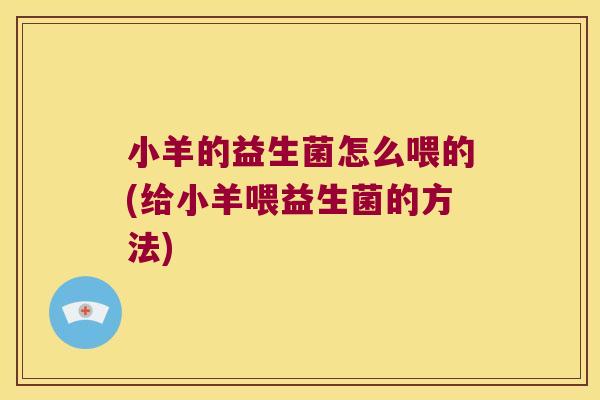 小羊的益生菌怎么喂的(给小羊喂益生菌的方法)