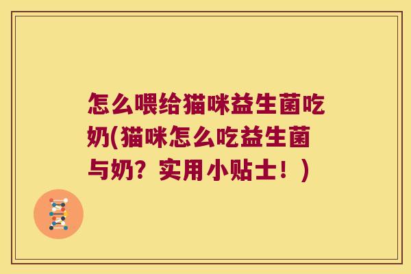 怎么喂给猫咪益生菌吃奶(猫咪怎么吃益生菌与奶？实用小贴士！)