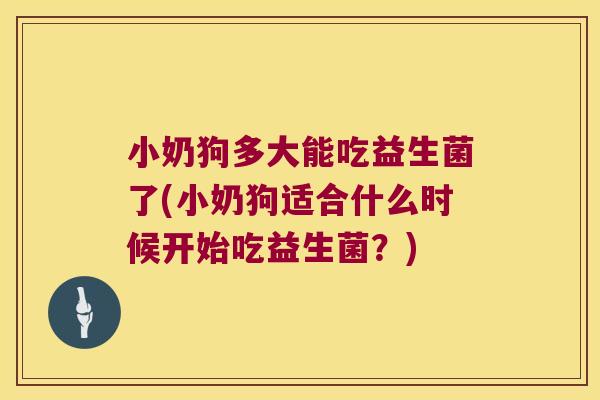 小奶狗多大能吃益生菌了(小奶狗适合什么时候开始吃益生菌?) 小奶狗多大能吃益生菌了(小奶狗适合什么时候开始吃益生菌?)