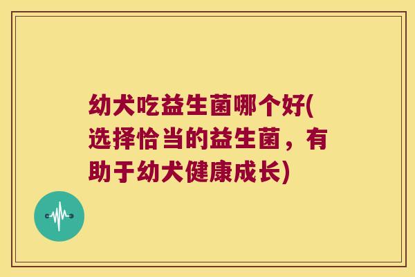 幼犬吃益生菌哪个好(选择恰当的益生菌，有助于幼犬健康成长)