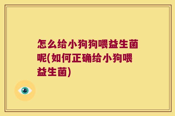 怎么给小狗狗喂益生菌呢(如何正确给小狗喂益生菌)