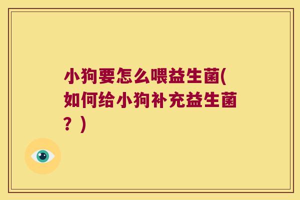 小狗要怎么喂益生菌(如何给小狗补充益生菌？)
