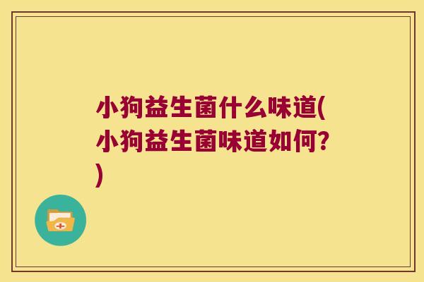 小狗益生菌什么味道(小狗益生菌味道如何？)