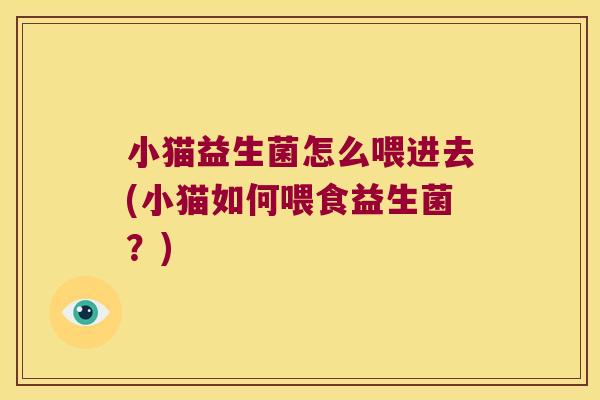 小猫益生菌怎么喂进去(小猫如何喂食益生菌？)