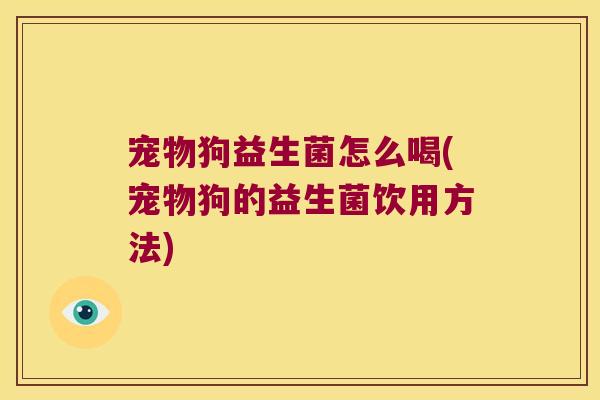 宠物狗益生菌怎么喝(宠物狗的益生菌饮用方法)