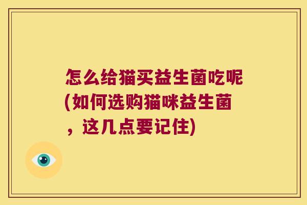 怎么给猫买益生菌吃呢(如何选购猫咪益生菌，这几点要记住)