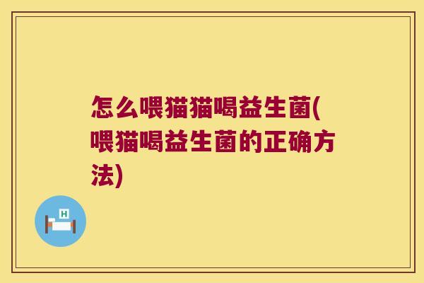 怎么喂猫猫喝益生菌(喂猫喝益生菌的正确方法)