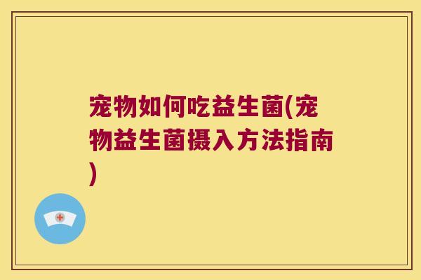 宠物如何吃益生菌(宠物益生菌摄入方法指南)