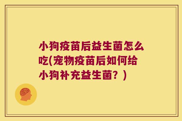 小狗疫苗后益生菌怎么吃(宠物疫苗后如何给小狗补充益生菌？)