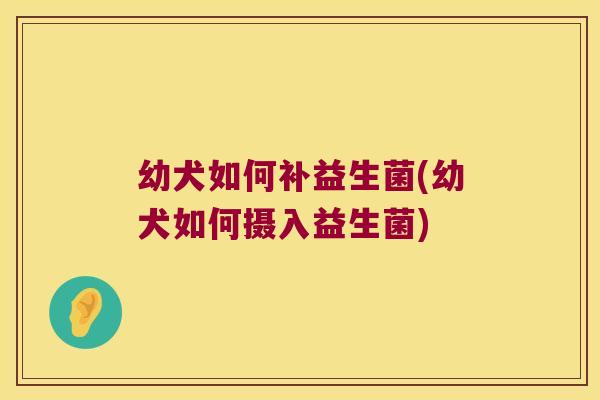 幼犬如何补益生菌(幼犬如何摄入益生菌)