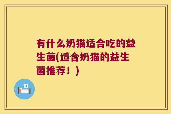 有什么奶猫适合吃的益生菌(适合奶猫的益生菌推荐！)