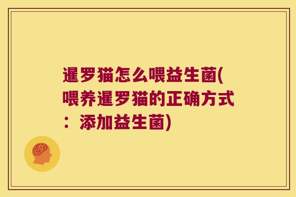 暹罗猫怎么喂益生菌(喂养暹罗猫的正确方式：添加益生菌)