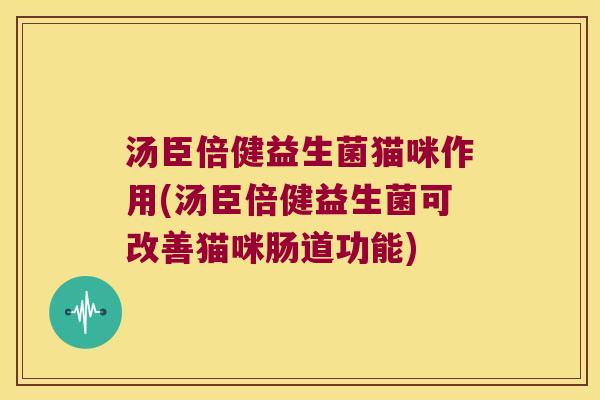 汤臣倍健益生菌猫咪作用(汤臣倍健益生菌可改善猫咪肠道功能)