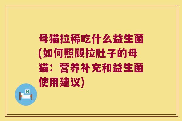母猫拉稀吃什么益生菌(如何照顾拉肚子的母猫：营养补充和益生菌使用建议)